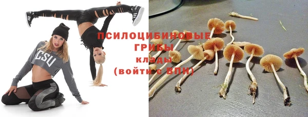 прущая мука Горняк