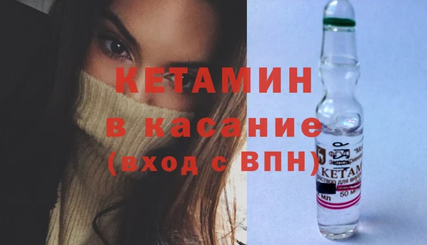 сатива Вязьма