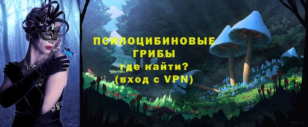 спиды Горнозаводск