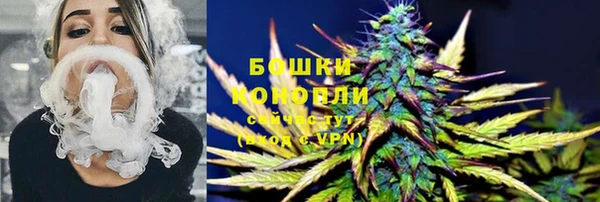 сатива Вязьма