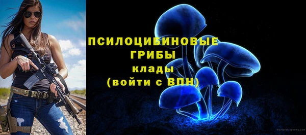сатива Вязьма