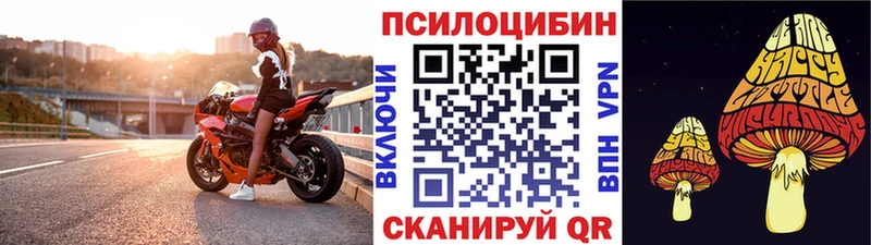 Псилоцибиновые грибы мухоморы Змеиногорск